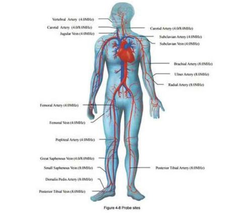 edan sonotrax vascular doppler probe sites